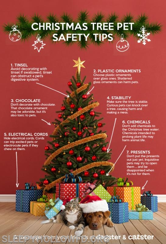 Christmas Tree Safety Tips For Your Pets - Sleepy Hollow Fire Department Christmas Tree Safety Tips for your pets - Christmas Tree Safety Tips For Your Pets - Sleepy Hollow Fire Department